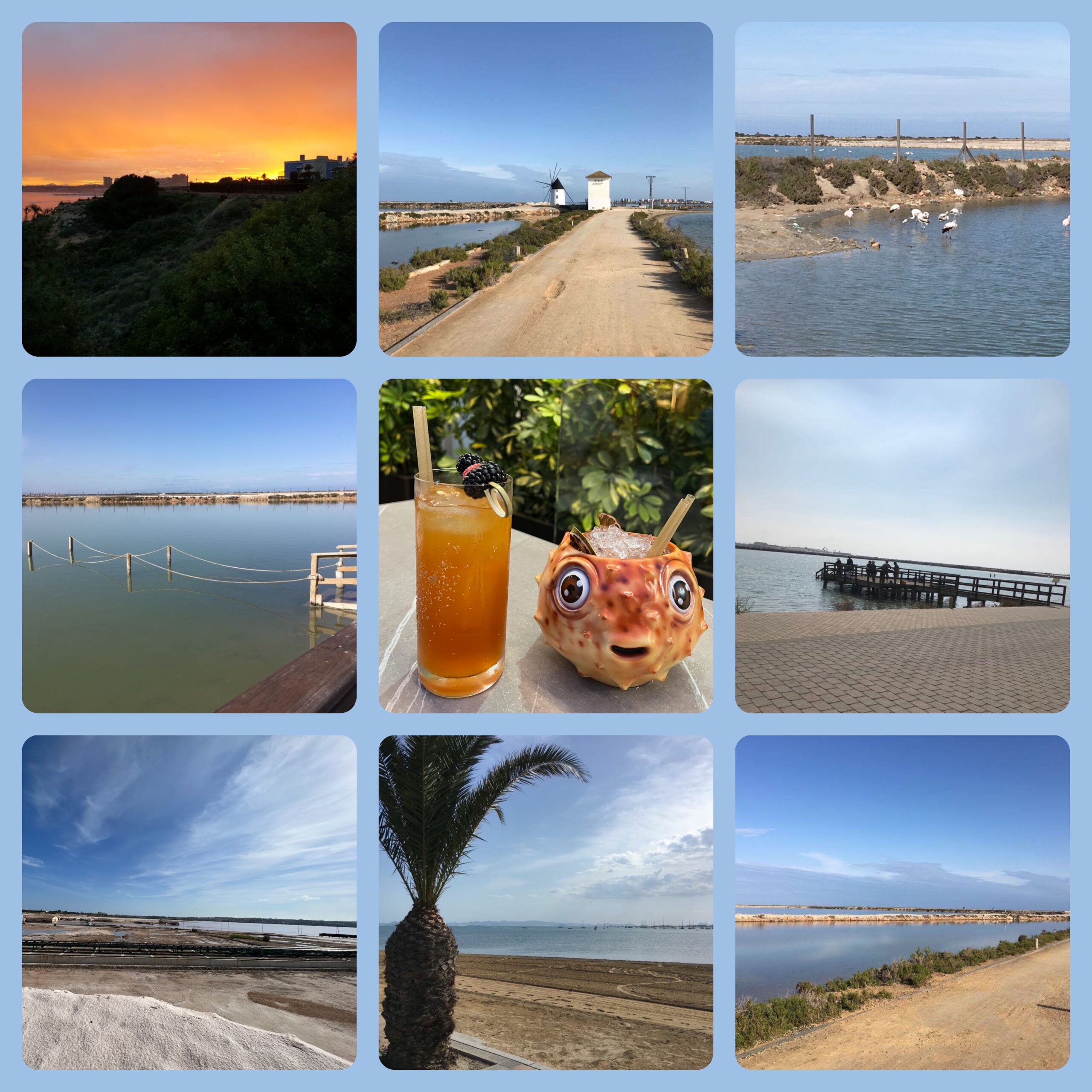 OrihuelaCosta-Collage-02-scaled
